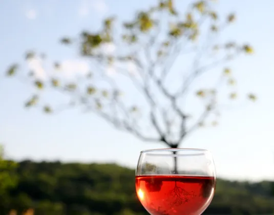 Víno není jen k pití, může pohánět i auta